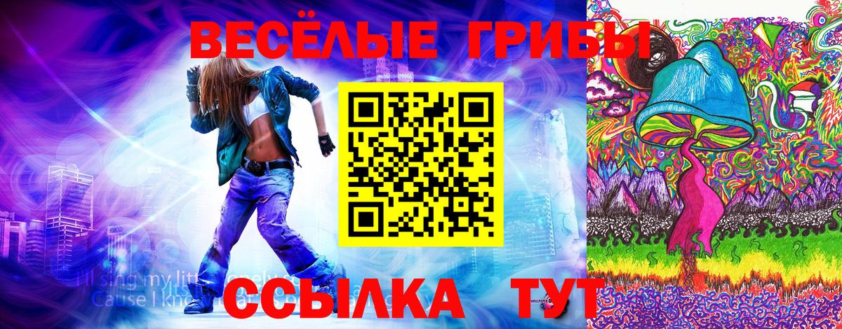Шали  Галлюциногенные грибы MAGIC MUSHROOMS  Вход с VPN 